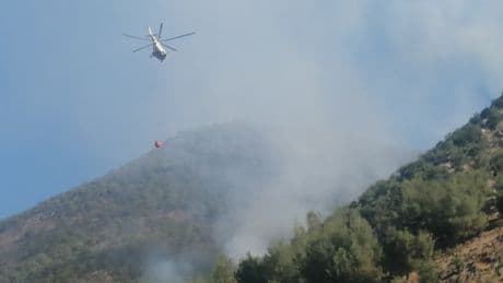 Maraş Türkoğlu’nda orman yangını 33 saatte kontrol altına alındı: Pazarcık’ta yangın çıktı