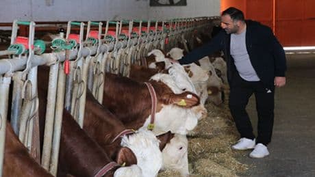 Ankara’nın kaosundan kaçtı huzuru Çankırı’da buldu! Günde 1 ton ürün alıyor, satmaya kıyamıyor