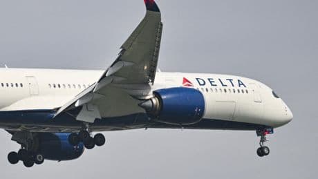 For Delta Air Lines, Trans-Pacific Revenue Climbs While Domestic Falls