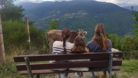 “Más paisajes y menos redes sociales”