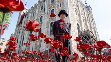 Spectacular power of poppies at the Tower as 30,000 flowers form poignant new memorial to mark VE Day’s 80th anniversary