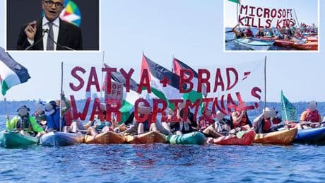 Microsoft asked FBI to track Gaza protests after activists showed up on kayaks outside homes of CEO, president