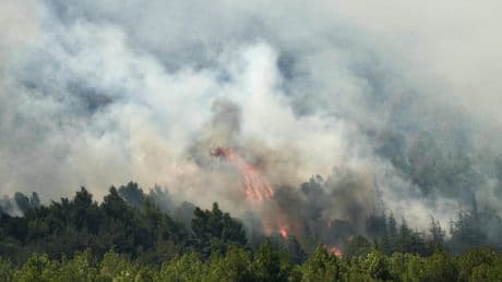 Wildfires rage across Europe as 18k in Spain lockdown and Marseille airport shut