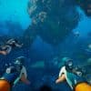 Wurde "Subnautica 2" verschoben, damit den Entwicklern kein Bonus zusteht?