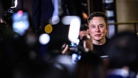 I dolori del giovane Elon