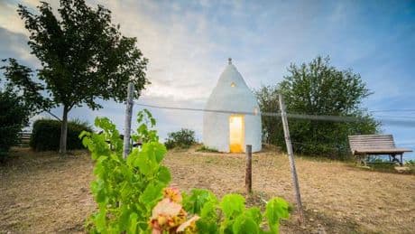 Freizeit: Lavendelduft oder Teatime: Hier gibt's Urlaubsfeeling daheim