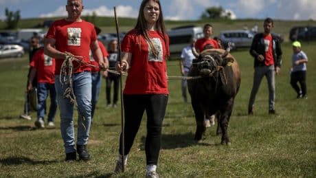 AP PHOTOS: A teenage bullfighting enthusiast celebrates victories in Bosnia