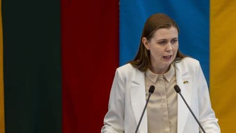 Lithuanian defense chief says NATO's spending aim should be 5%