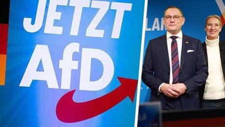 AfD officieel staatsgevaarlijk: 'Kan ambtenaren baan kosten'