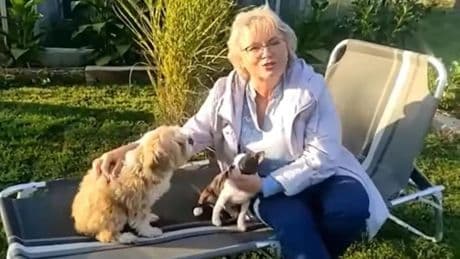 El plan para matar a un perro sacude la opinión pública checa y amenaza el regreso al poder del exprimer ministro Babis