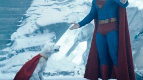Köpek sahiplenme oranını arttıran punç rock'çı Superman