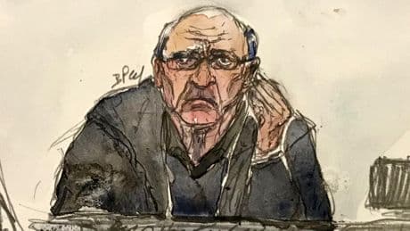 'Devil in a white coat': Trial of French paedophile surgeon Le Scouarnec enters final phase
