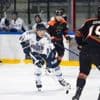 Hockey sur glace. Pré-saison. Les Ducs d’Angers, à court d’effectif, battus à l’IceParc
