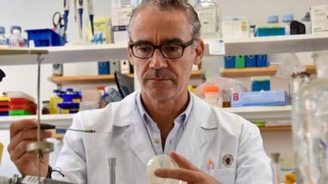 Los científicos españoles que investigan el gen que hace casi incurables a las superbacterias: "Es una emergencia mundial"