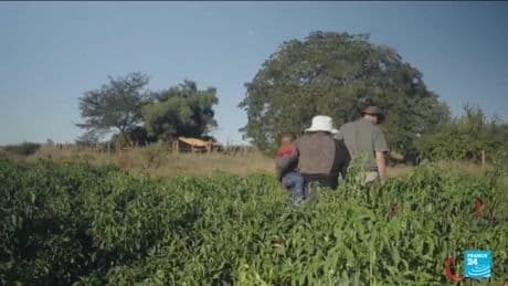 Zimbabwe's farmers push on as land grab compensation flounders