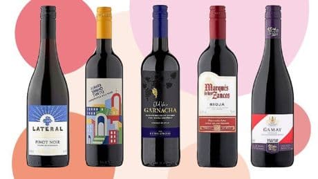 20 red wines you should chill for the heatwave – which are all under £14