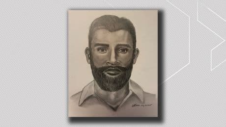 Woman sexually assaulted by man who offered ride home after Canada Day: Edmonton police