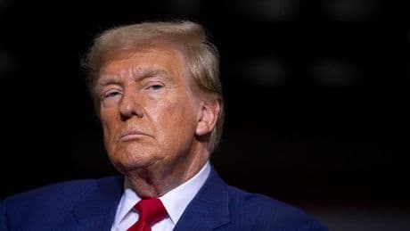 The politics of shamelessness: a survival tactic from Trump to party loyalty