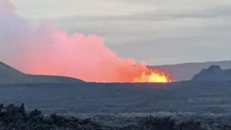 Iceland volcano Sundhnúkur erupts as families and tourists evacuated