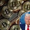 Why bitcoin has gained more than 70% since Trump was elected - and his 'genius' act could fuel it further