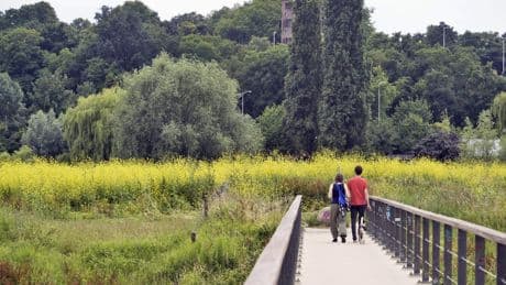 Zon én buien in grote delen van het land; op sommige plekken blijft het vaker droog