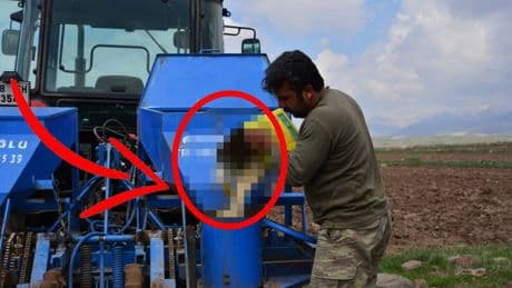 Erciyes Dağları’nda yeni mesai! Sezon başladı, ilk adım atıldı: Tohumlar hasat için tek tek toprakla buluştu