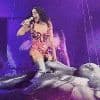 KIJK. Katy Perry komt met de schrik vrij tijdens optreden: decorstuk waarop ze vliegt, valt naar beneden