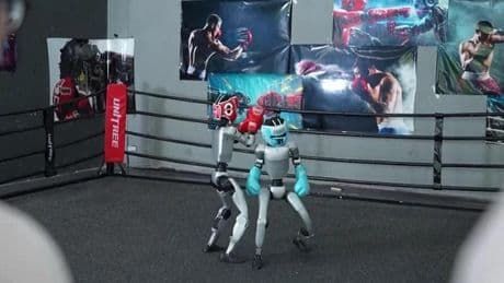 DÜNYADA BİR İLK! Ringe çıkan bu sefer robotlardı