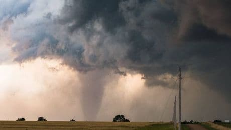 Tornado emergency declared as 'deadly' twister tears through Alabama: 'Take cover now!'