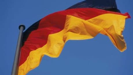 AfD in Sachsen-Anhalt: Deutschlandfahnen sogar auf Spielplätzen – was soll das?