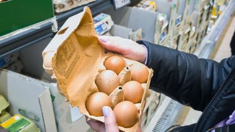 The reason eggs are less likely to crack when dropped on their side