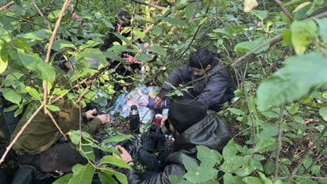 Pologne : dans la forêt de Bialowieza, les migrants redoutent d’être « renvoyés et de mourir en Biélorussie »