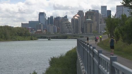 City of Calgary currently has no plans to remediate creosote in downtown west end