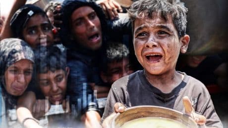 Gaza becomes ‘most expensive place to eat in the world’