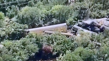 ABD'de kimyasal madde taşıyan 35 vagonlu tren raydan çıkıp devrildi