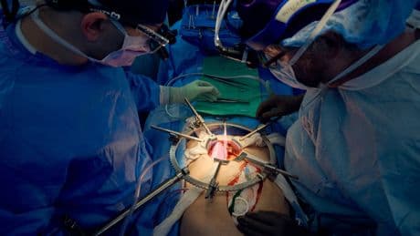 Utilizar personas en muerte cerebral para hacer experimentos médicos: el nuevo debate en la frontera de la bioética