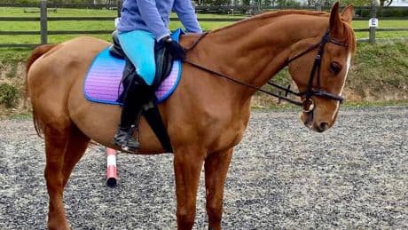 Mum, 25, dies after falling from horse in warm-up before event at equestrian centre as family pay heartbreaking tribute