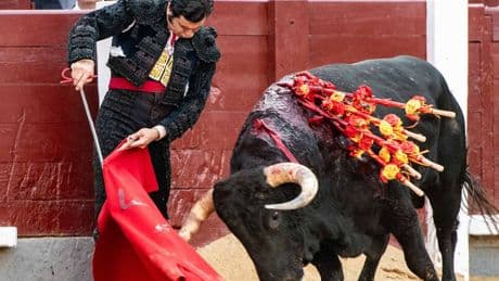 Cowboys de Medianoche: Morante en Las Ventas, 'Misión Imposible' y anécdotas de la Feria del Libro
