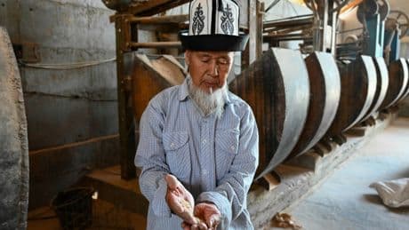 Kirghizstan : des parpaings en riz pour construire plus écologique et économique