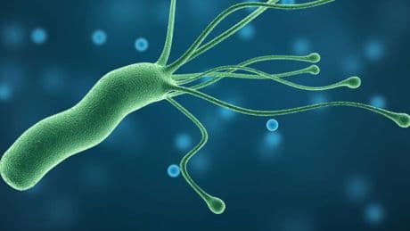 La infección por una bacteria puede causar un aumento mundial del cáncer gástrico en niños y adolescentes