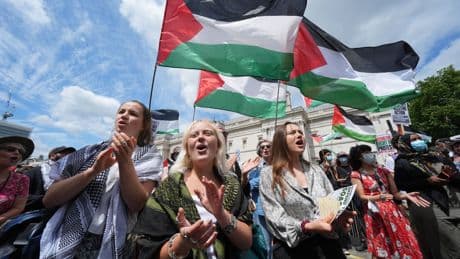Ian Hislop slams ‘mind-boggling’ arrest of pensioner for holding up Private Eye cover at pro-Palestine protest