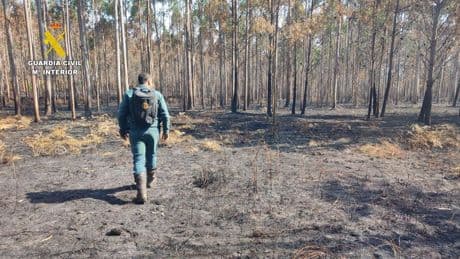 Detienen a un vecino de Laxe (A Coruña) como presunto autor de un incendio forestal