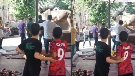 Kızgın boğa dehşeti! Ölümden döndü