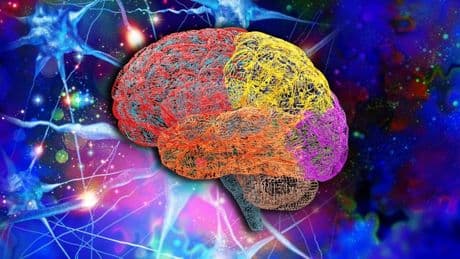 Hopes that microdosing LSD ‘can cure anxiety crisis’
