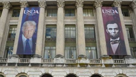 "È come un dittatore". Cosa c'è dietro lo striscione di Trump che fa impazzire i dem Usa