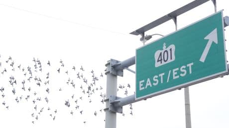 Ford government started studying Hwy. 401 tunnel after private-sector bids: docs