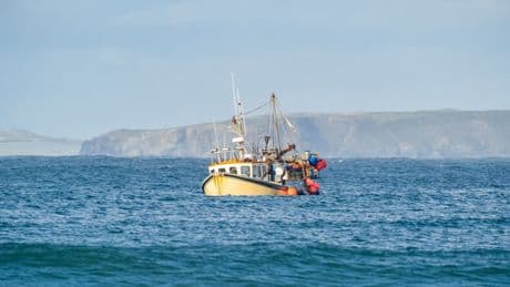 Brit fishing boat intercepted & detained by French patrol ship in English Channel after ‘whelking without a licence’