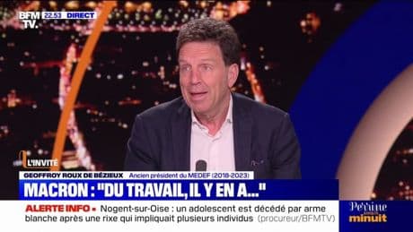 Emploi: "Il y a une inadéquation entre l'offre et la demande", explique Geoffroy Roux de Bézieux, ancien président du MEDEF