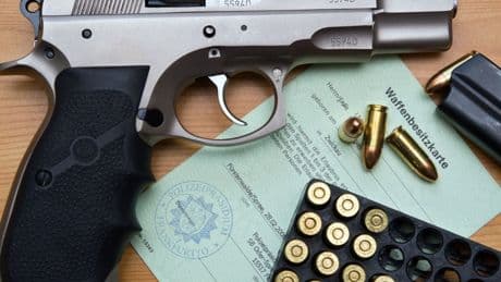 Rechtsextremismus: Bundesländer wollen AfD-Mitgliedern Waffen abnehmen