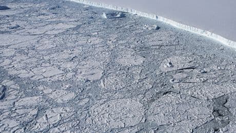 Near Antarctica, Saltier Seas Mean Less Ice, Study Finds